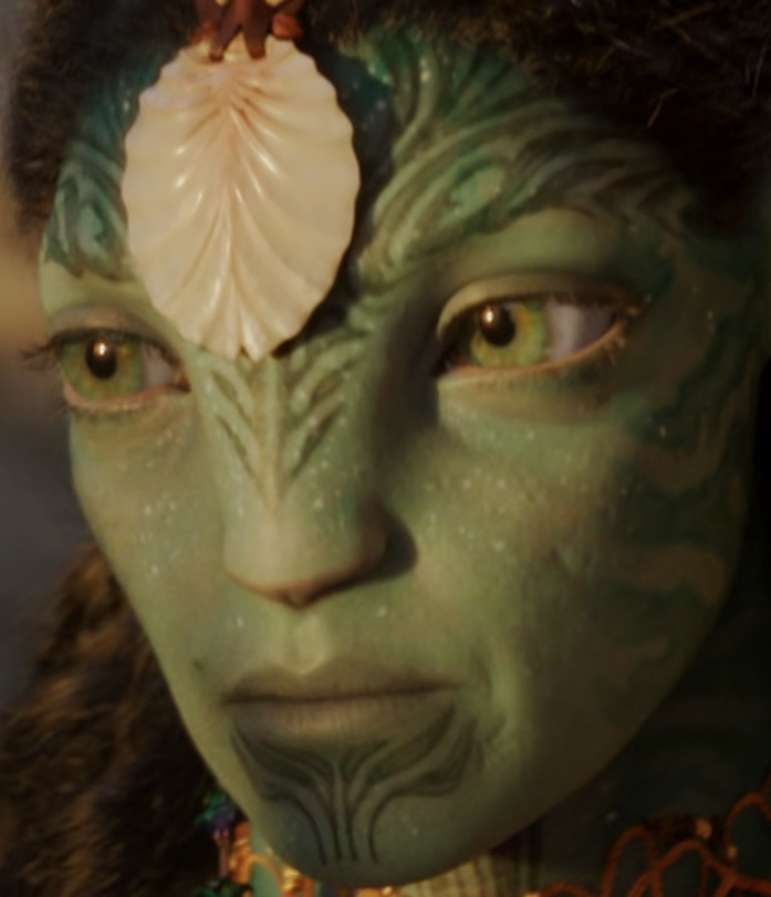 An excursion into the art of tattooing of the Na’vi / Metkayina in